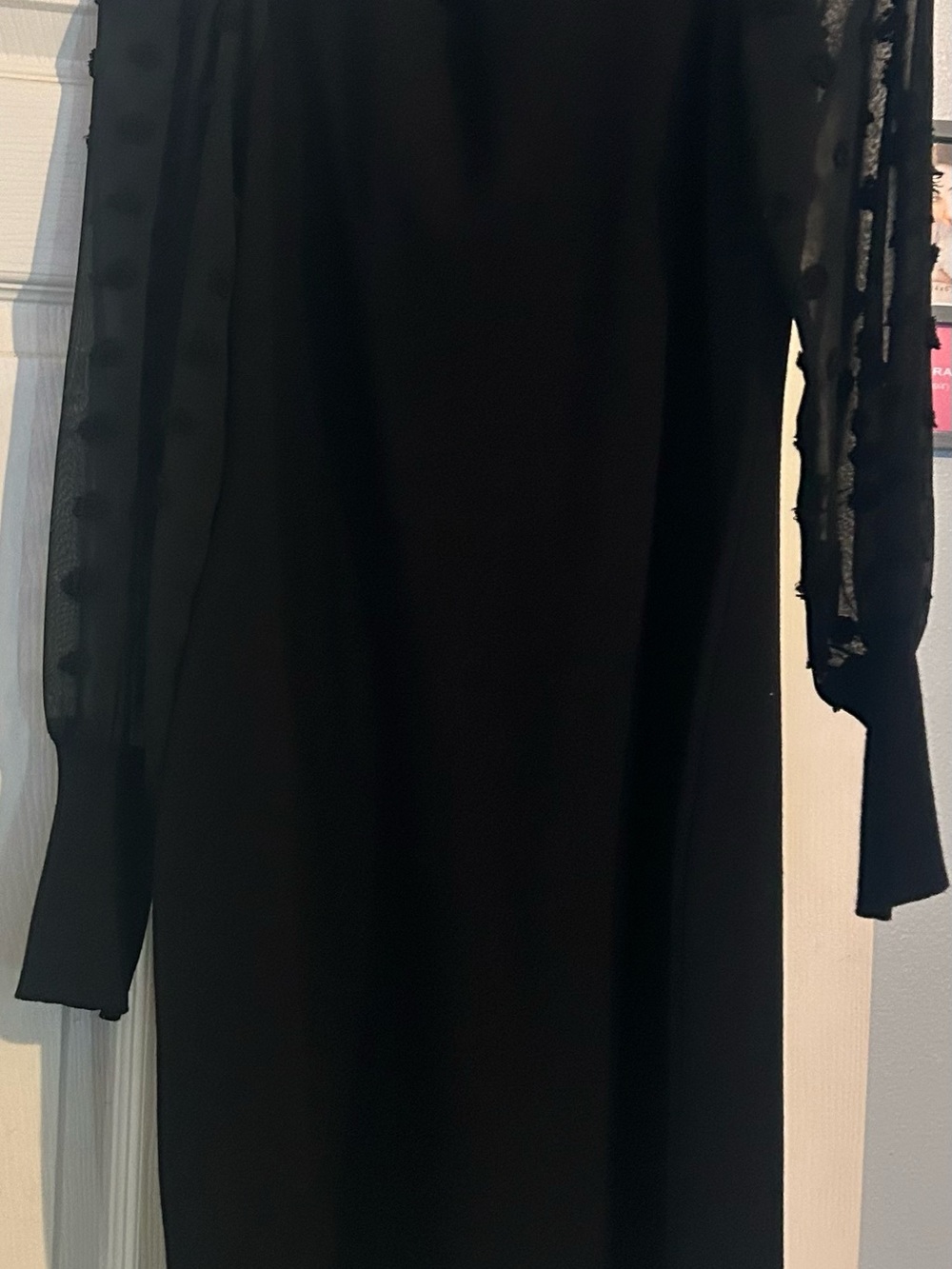 Nina Leonard Black Long Sleeve Sheer Accent Dress